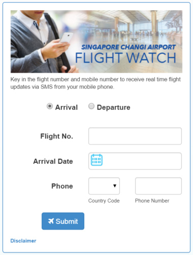 チャンギ国際空港 Flight Watch