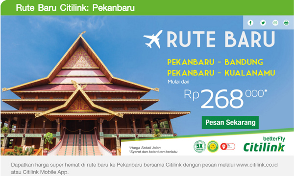 シティリンク　プカンバル路線