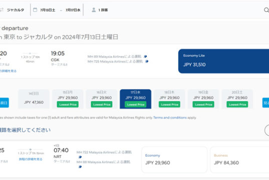 成田～ジャカルタ間の航空券検索画面