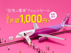 ピーチ公式サイトより