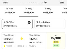 成田発シンガポール行きが15,900円