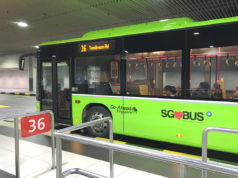 シンガポール・チャンギ空港からバスで市内中心部へ移動 36番のバス