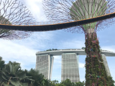 2017年にシンガポールを訪れた日本人は約79万人 4年ぶり前年比プラスに ガーデンズバイザベイのスーパーツリーとマリーナベイサンズ