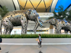 バンコクのスワンナプーム空港