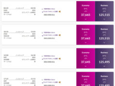 タイ国際航空、運賃最大30%オフのプロモーション バンコク往復が諸費用込み7万円台 東京~バンコク間のフライト検索画面