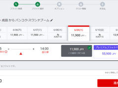 フライト検索画面