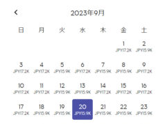 成田発バンコク行きフライト検索画面(2023年9月)